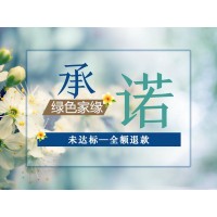 上门除甲醛专业公司绿色家缘、室内甲醛治理正规服务