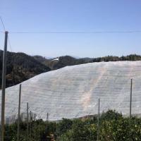 工厂批发果树防虫网质量好全新料加厚网国庆特惠库存有限速抢