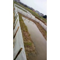 厂家供应青蛙围网特厚蛙塘纱网全新料质量好耐腐蚀好网