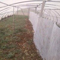 加厚耐用蚂蚱养殖网新料加厚好网抗老化结实好网工厂定做网棚