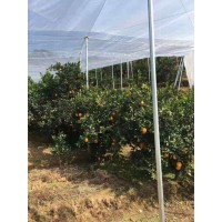 全新料果树防虫网大宽幅加厚防虫网国庆特惠工厂直发