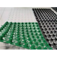 广东可定制园林绿化阻根板车库蓄排水板