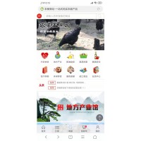 农副产品一站式购物商城