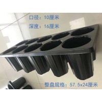 10孔大口径高深度林木育苗穴盘苗木盘