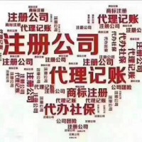 想要注册公司、记账报税、变更注销的老总可以找我哈