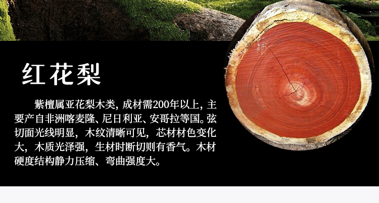 爆款沙发详情_15.jpg