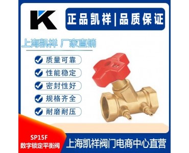 SP15F数字锁定平衡阀 动态流量平衡阀VL003