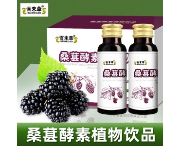 桑葚酵素植物饮料OEM贴牌生产山东皇菴堂药业