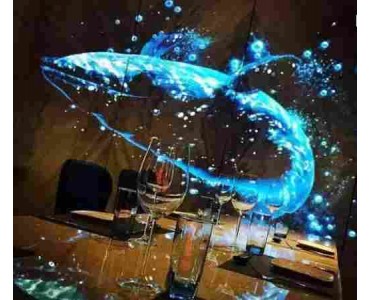 深圳全息投影膜  橱窗广告、展览展示投影膜