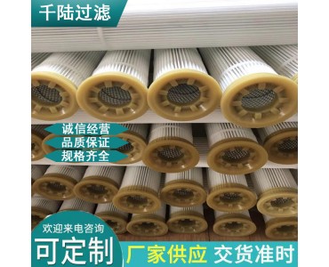 钢厂超低排放5毫克以下 3米日本东丽覆膜除尘滤筒 规格可定制