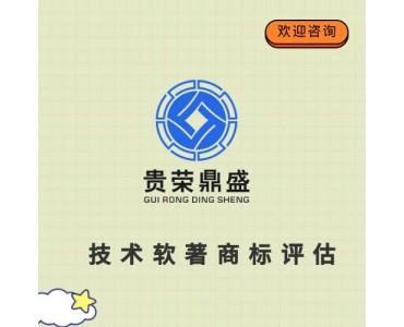 四川省绵阳市知识产权评估专利入股评估技术软著商标评估