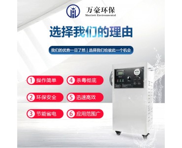 贵州万豪臭氧消毒器水处理杀菌消毒净化养殖场高浓度自动臭氧机