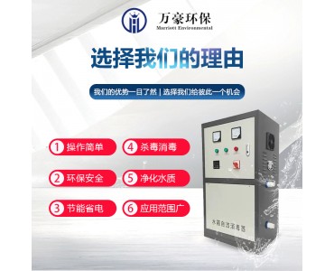 佛山万豪外置水箱消毒臭氧机泳池水纯净水二次循环使用杀菌消毒