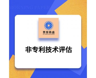 四川省遂宁市无形资产评估专利实缴评估技术评估软著商标评估