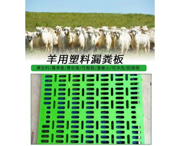 塑料漏粪板羊用漏粪板羊床漏粪板产床漏粪板